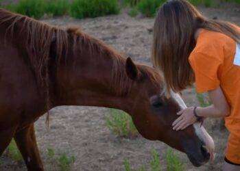 Al via l’Ardia di Sedilo, Lav: “Manifestazione di incidenti e morte per i cavalli”