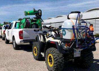 Lotta alla cavallette: Assessore Satta fa il punto della situazione