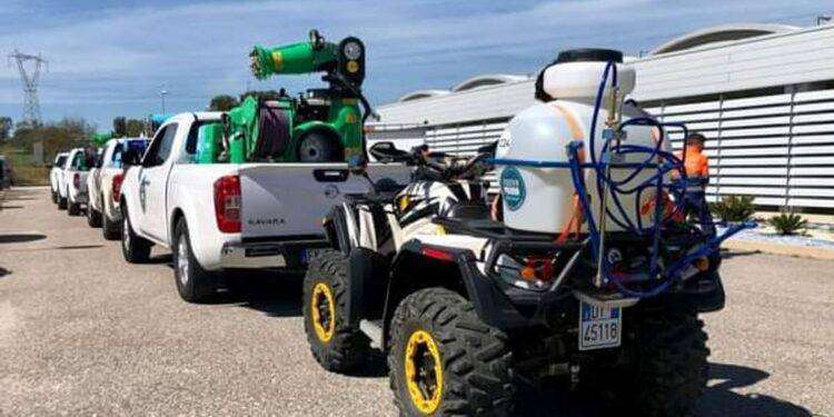 Lotta alla cavallette: Assessore Satta fa il punto della situazione