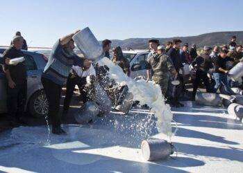 Protesta del latte, pastori sardi assolti per blocchi stradali