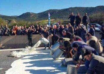 Pastori assolti a Sassari