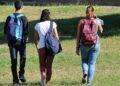 Università: assessore Biancareddu, visto l’aumento del costo della vita degli studenti sono state incrementate le borse di studio
