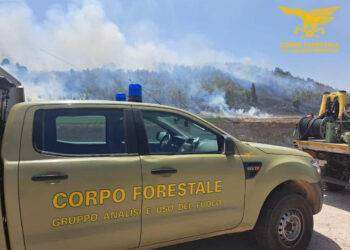 Fiamme a Chiaramonti: intervento dell’elicottero