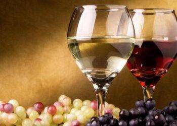 Il consumo di vino rallenterà entro il 2040, solo +0,35% l’anno