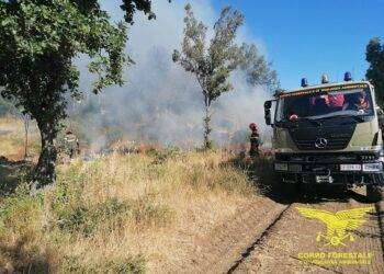 Caldo e vento, fiamme in Sardegna