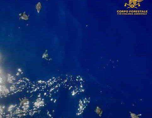 Salvate le tartarughine marine sperdute nella Spiaggia del Poetto