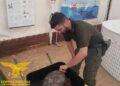 Salvata una tartaruga marina nelle acque di Teulada