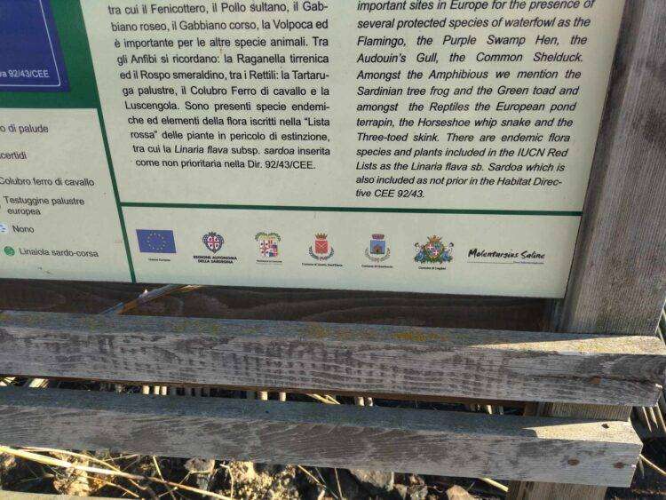 Incendio a Quartu, 3 funghi antincendio su 4 non funzionavano: vergogna al Parco di Molentargius