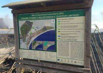 Incendio a Quartu, 3 funghi antincendio su 4 non funzionavano: vergogna al Parco di Molentargius