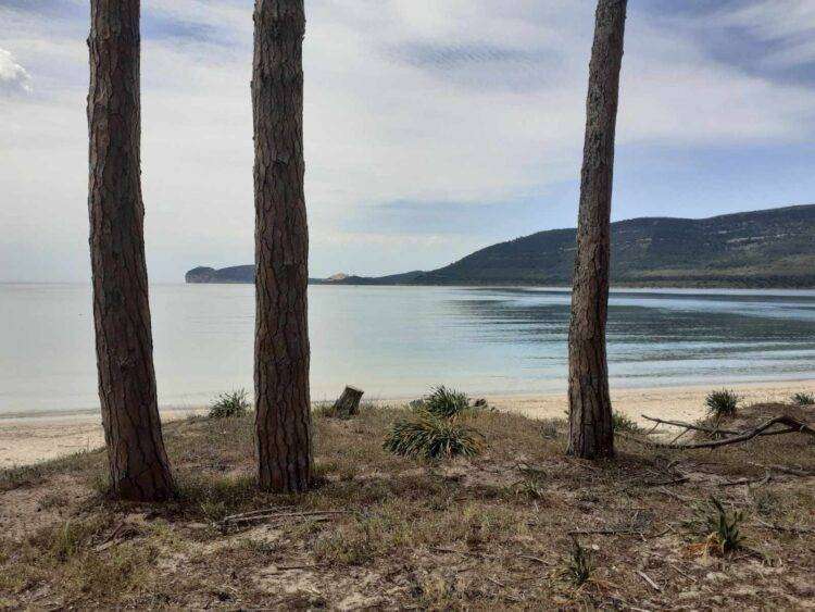 Sardegna, “Ferragosto Naturista Condiviso 2023”: appuntamento nella spiaggia “Baia delle Ninfe”