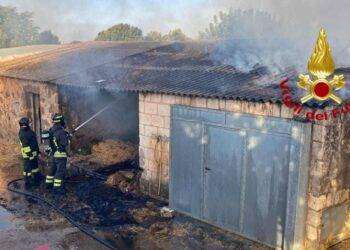 Seneghe, in fiamme un pagliaio: intervento dei Vigili del Fuoco
