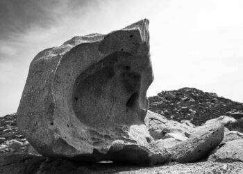 Nello spazio espositivo quartese “The Social Gallery” V-Art il progetto di Gianluca Chiai “Mare protetto”