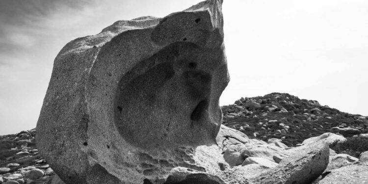 Nello spazio espositivo quartese “The Social Gallery” V-Art il progetto di Gianluca Chiai “Mare protetto”