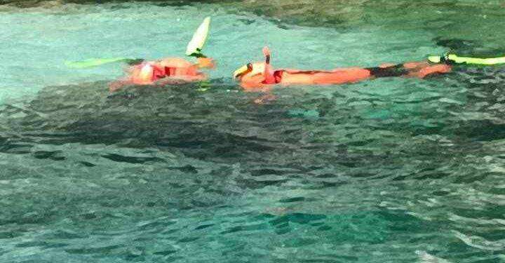 Morta in Ogliastra, colpita dal tronco dell’albero mentre nuotava: indagini della Procura