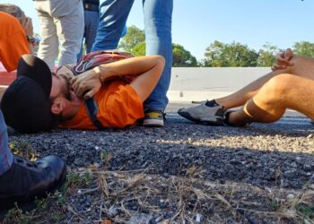 Ultima Generazione, otto persone bloccano la statale adriatica in Puglia