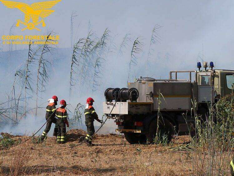 Incendio doloso a Villacidro, arrestato un piromane di 50 anni
