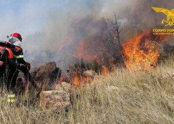 Incendio doloso a Villacidro, arrestato un piromane di 50 anni