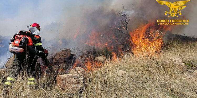 Incendio doloso a Villacidro, arrestato un piromane di 50 anni