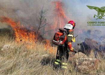 Incendio doloso a Villacidro, arrestato un piromane di 50 anni