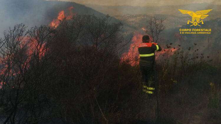 Incendio doloso a Villacidro, arrestato un piromane di 50 anni
