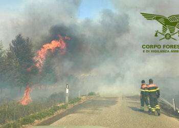 Incendio doloso a Villacidro, arrestato un piromane di 50 anni