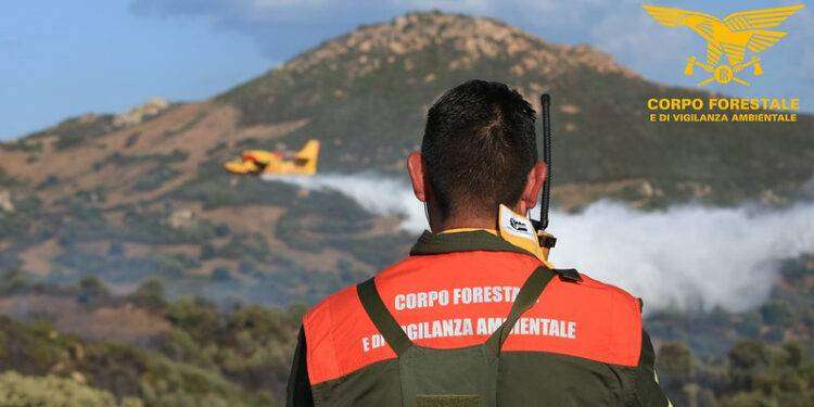 Incendio doloso a Villacidro, arrestato un piromane di 50 anni