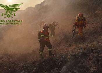 Incendio doloso a Villacidro, arrestato un piromane di 50 anni