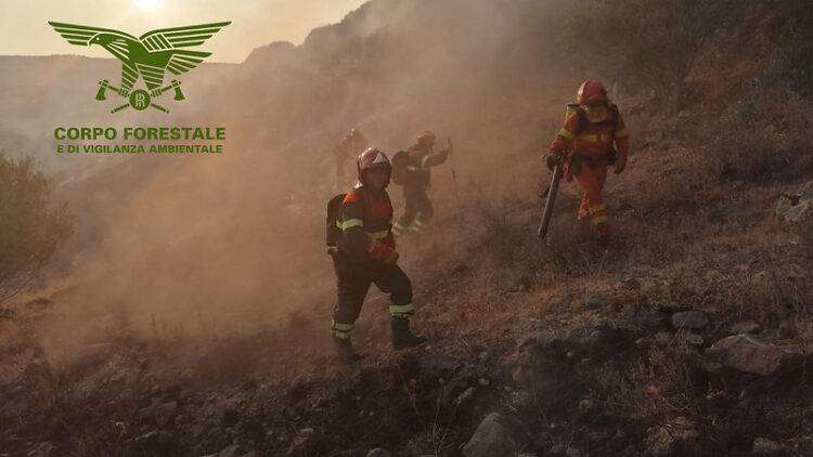 Incendio doloso a Villacidro, arrestato un piromane di 50 anni