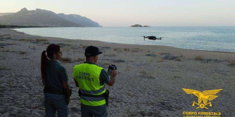 I droni alla ricerca di nidi di caretta caretta nelle spiagge sarde