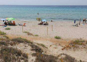 Cani benvenuti nelle spiagge del Sinis, aperte quattro aree