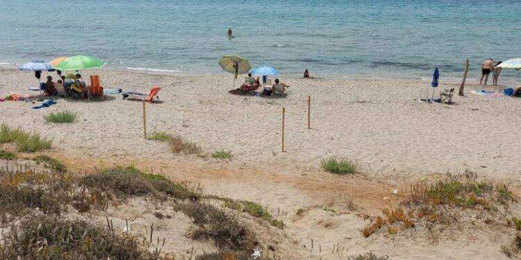 Cani benvenuti nelle spiagge del Sinis, aperte quattro aree