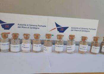 Portano via sabbia da 11 spiagge Gallura, multati 2 turisti