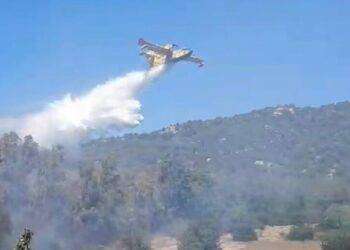 Incendi Sardegna, stato di calamità per il rogo a Costa Rei