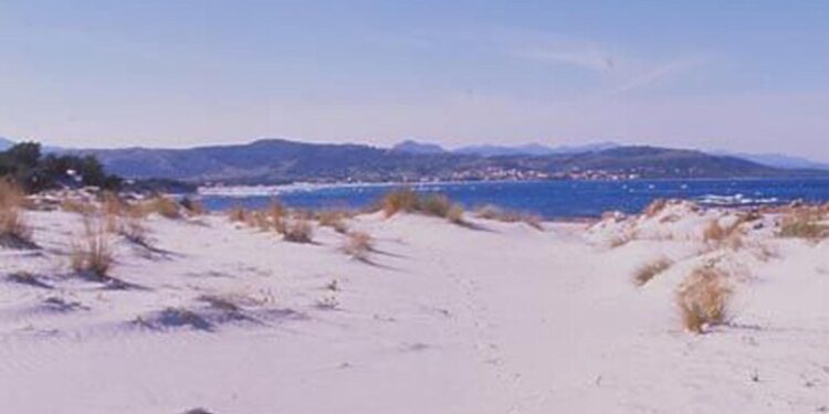 Corse a cavallo proibite sulla spiaggia di Capo Comino