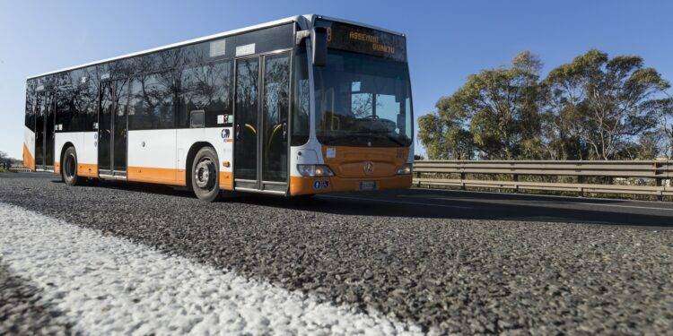 Cagliari, servizio navetta Ctm in occasione della Sagra del pesce a S. Elia
