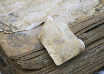 I libri e il fango nella Romagna allagata, mostra a Bologna