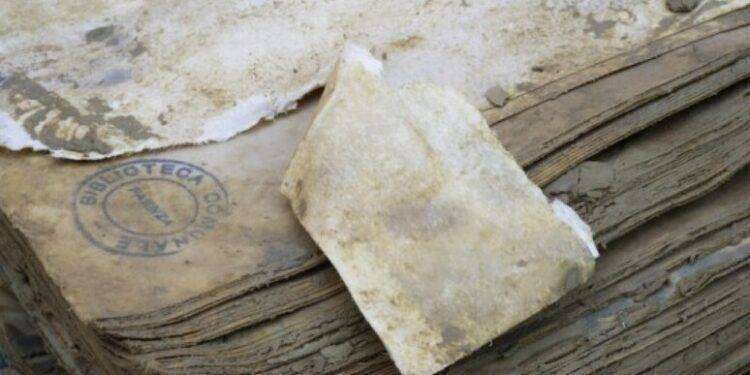 I libri e il fango nella Romagna allagata, mostra a Bologna