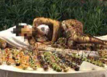 Donna oggetto o donna libera?