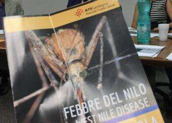 Febbre del Nilo, primo caso in Sardegna su uomo di 72 anni