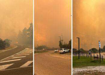 Brucia la costa nord orientale della Sardegna, 600 persone evacuate