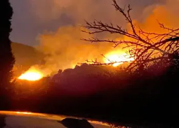 Incendio all’isola d’Elba, evacuati un campeggio e alcune case