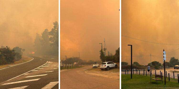 Brucia la costa nord orientale della Sardegna, 600 persone evacuate