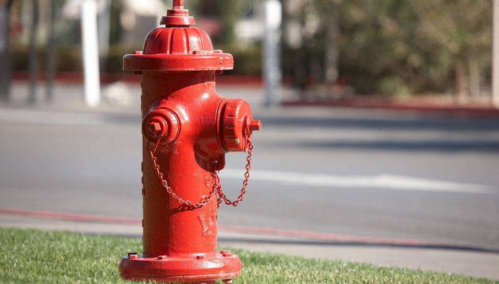 Incendio a Quartu, 3 funghi antincendio su 4 non funzionavano: vergogna al Parco di Molentargius