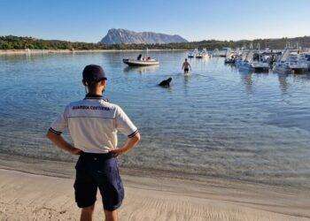 Occupano abusivamente zona mare Cala Brandinchi, denunciati