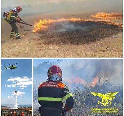 Fiamme in Sardegna, in azione elicotteri e mezzi a terra