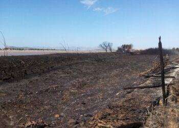 Incendi in Sardegna, ambientalisti ‘Daspo per gli incendiari’