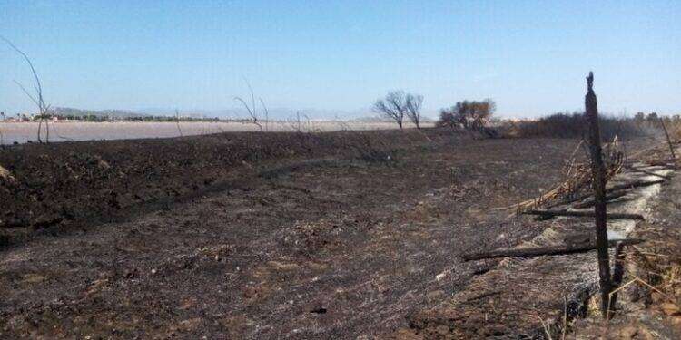 Incendi in Sardegna, ambientalisti ‘Daspo per gli incendiari’