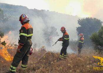 Fiamme in Sardegna, elicotteri e personale a terra su diversi incendi