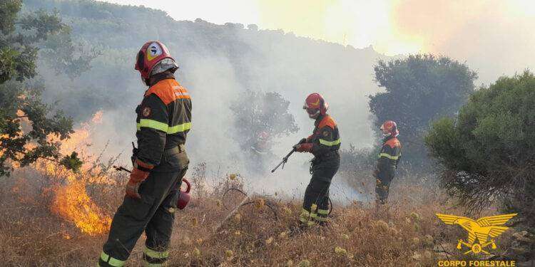 Fiamme in Sardegna, elicotteri e personale a terra su diversi incendi