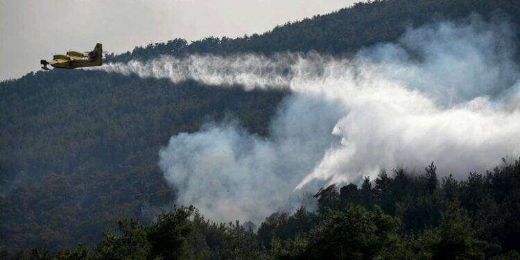 Grecia, aree bruciate da incendi supereranno 150mila ettari